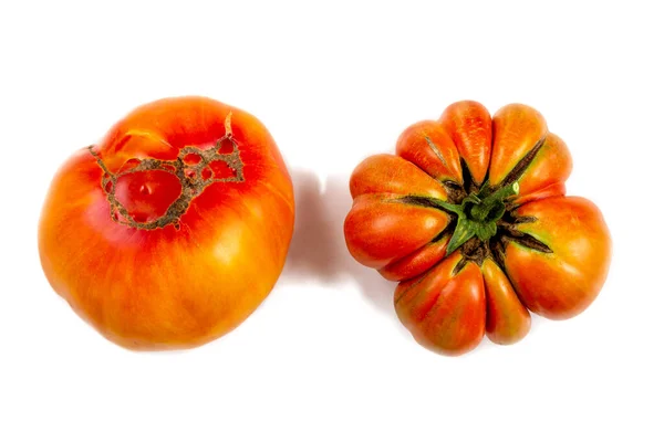 Nahaufnahme Von Alten Tomaten Auf Den Kopf Gestellt Und Der — Stockfoto