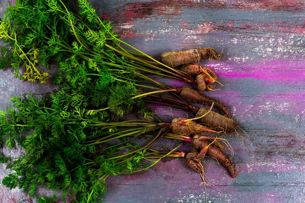 Бот Старой Моркови Смелые Фиалки Пурпурной Серой Доске — стоковое фото
