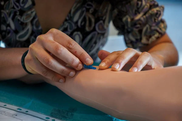 Eleverna Tränar Arteriell Arm Som Möjliggör Artär Och Venpunktion För — Stockfoto