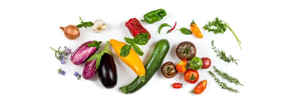 Panoramic Ingredients Cook Ratatouille Cropped White Background — Stock Photo, Image
