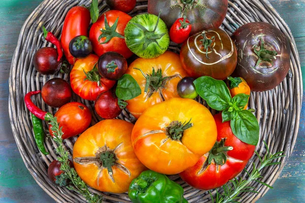 Die Wichtigsten Alten Tomaten Gruppiert Auf Einem Korbblech — Stockfoto