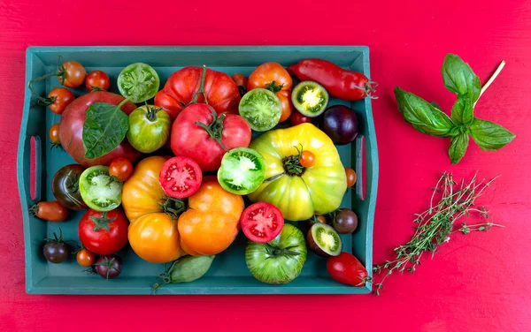Aile Yadigarı Tomatlar Eski Kırmızıya Yerleştirilmiş Yeşil Bir Tepside Dilimlenmiş — Stok fotoğraf