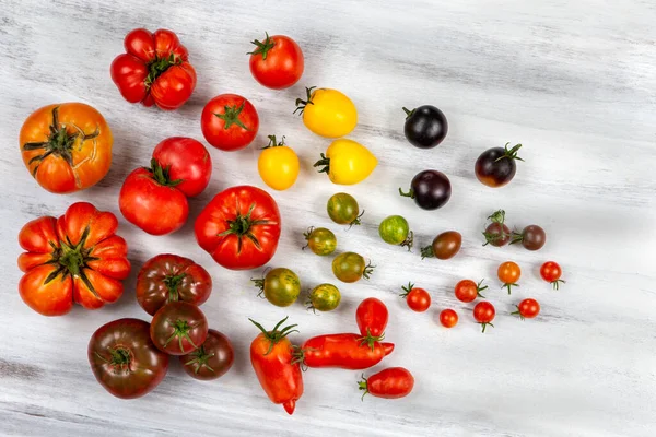 Panel Rzadkich Starych Pomidorów Widzianych Góry — Zdjęcie stockowe