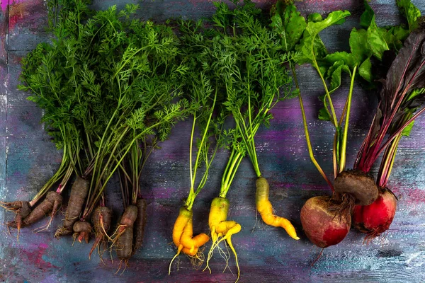 Old Carrots Ungraded Beets — Stock Photo, Image