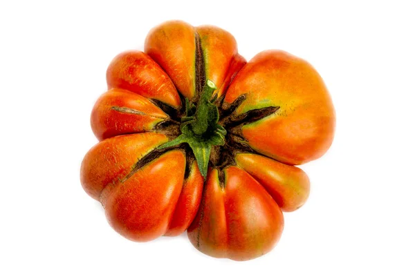 Alte Bio Tomate Nicht Auf Weißem Turmhintergrund Kalibriert — Stockfoto