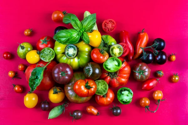 Tomatoes Different Ancient Species Placed Bright Red Background — Stock Photo, Image