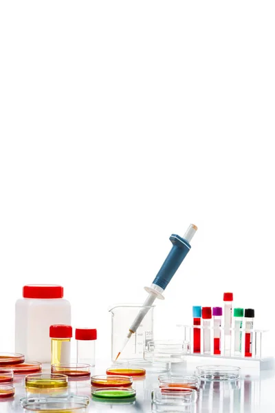 Placas Petri Com Amostras Sangue Urina — Fotografia de Stock