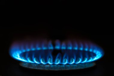 Close-up of a burner, blue flames, on a black background.