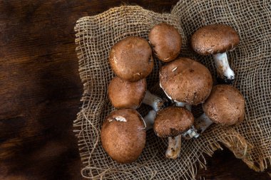 Üst görünüm mantarları bir ton tahtasında.