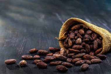 Çuval çuvalı içinde kakao ağacından yakın plan kakao çekirdekleri..