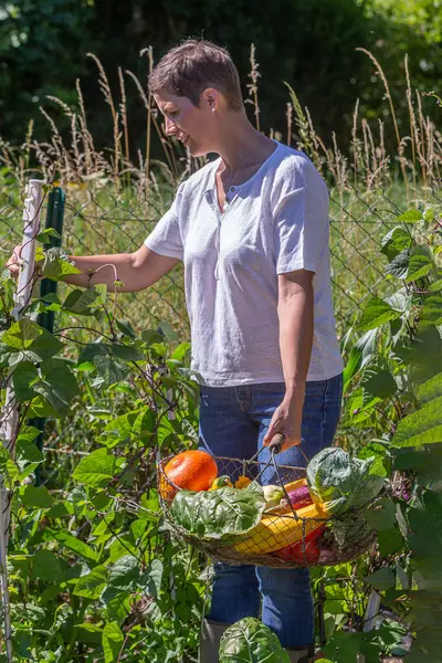 Young Woman Profile Picking Vegetables Pannier Her Hand — Stock Photo, Image