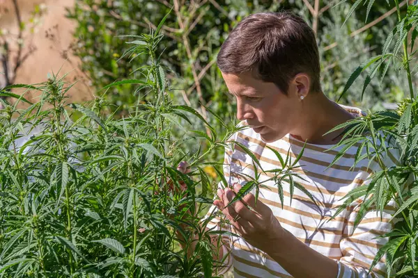 Young Woman Profile Smelling Hemp Leaf — Stock Photo, Image