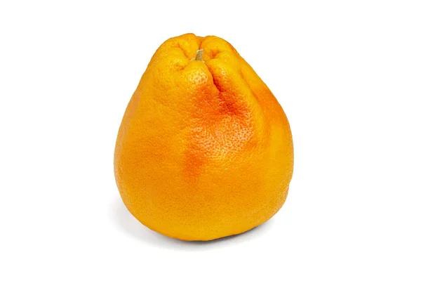 グレープフルーツ分離 白い背景に隔離された熟した梨の形のグレープフルーツ — ストック写真