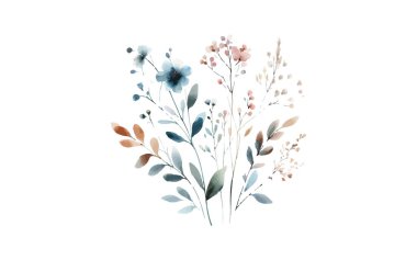 İzole edilmiş arkaplanı olan suluboya çiçek