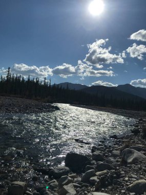 a mountain landscape in a forest in the mountains of the united states..