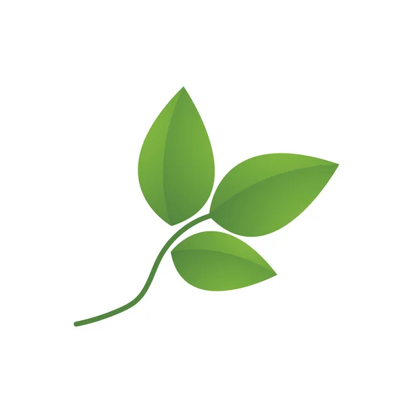 緑の葉のロゴ生態自然要素ベクトルアイコン ストックベクター