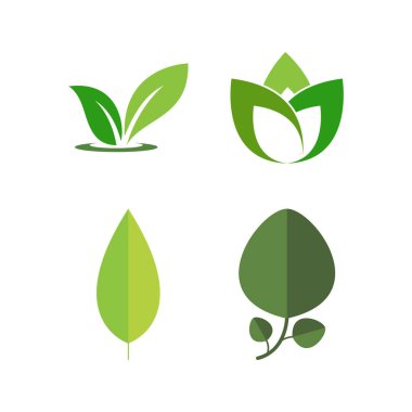 Yeşil yaprak logosu ekoloji doğa element vektör simgesi
