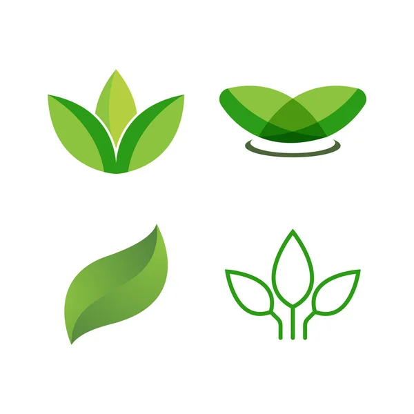 Folha Verde Logotipo Ecologia Elemento Natureza Vetor Ícone —  Vetores de Stock