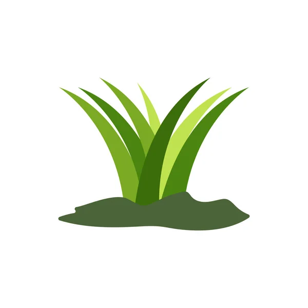Grama Verde Primavera Gazon Ícone Vetorial Versão Web — Vetor de Stock