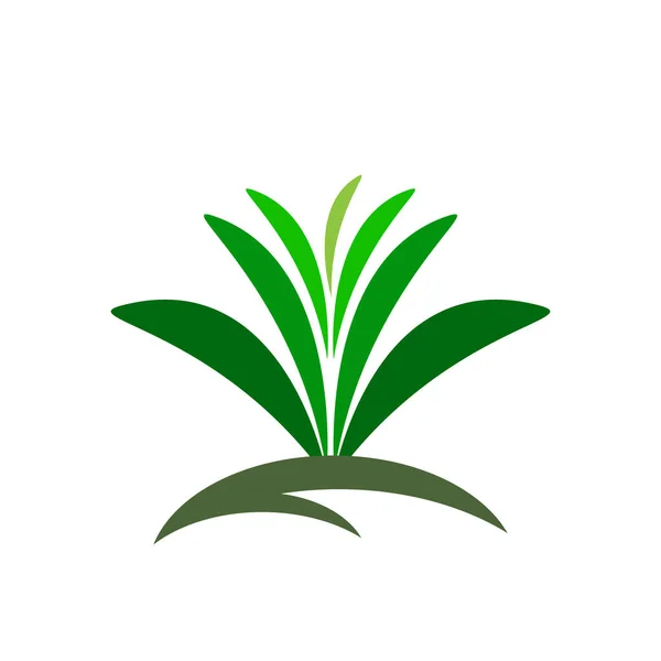 Green Grass Spring Gazon Vector Icon Web Version — Stock Vector