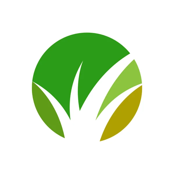 Yeşil Çimenler Bahar Gazon Vektör Simgesi Web Sürümü Stok Vektör