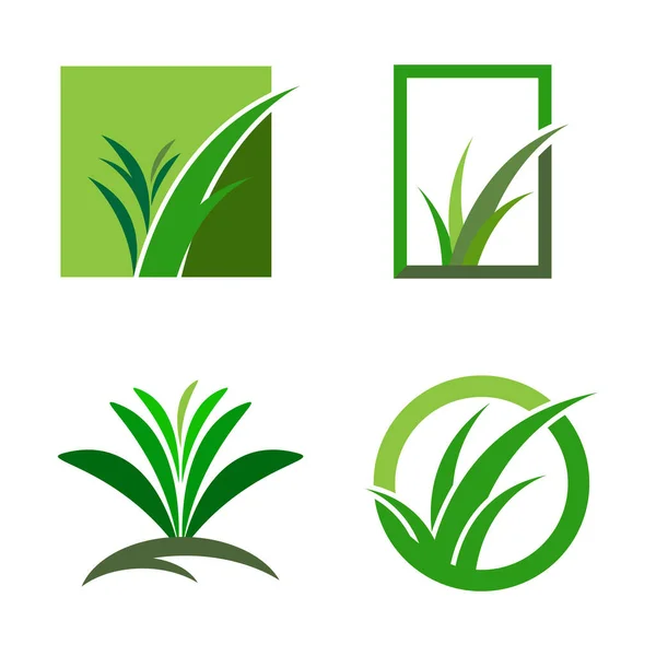 Çimen Yeşili Logo Vektör Şablonu Tasarımı Telifsiz Stok Illüstrasyonlar