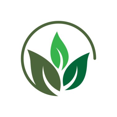 Eko Ağacı Yaprak Şablonu