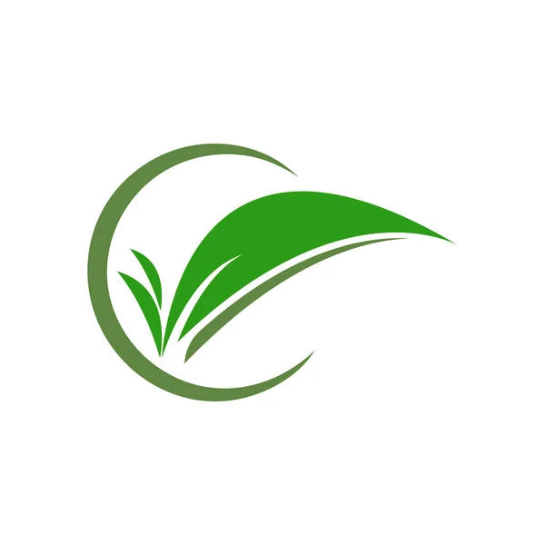 Modelo Logotipo Folha Árvore Ecológica — Vetor de Stock