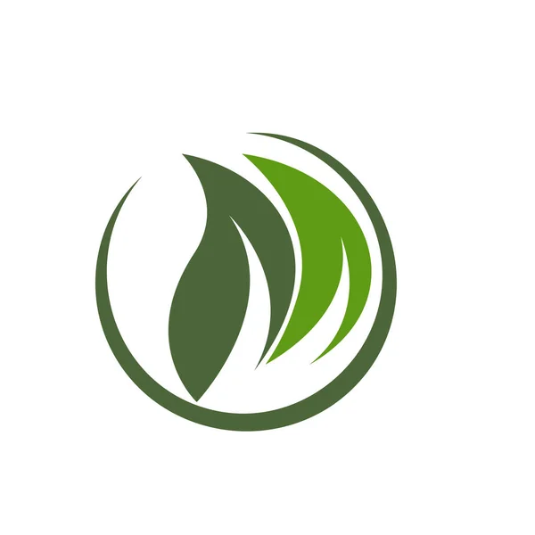 Eco Tree Leaf Logó Sablonja — Stock Vector