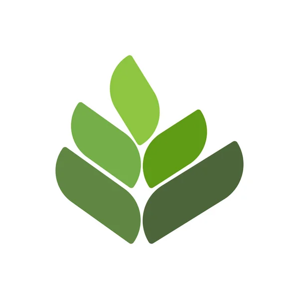 Plantilla Logotipo Hoja Árbol Ecológico Ilustración de stock