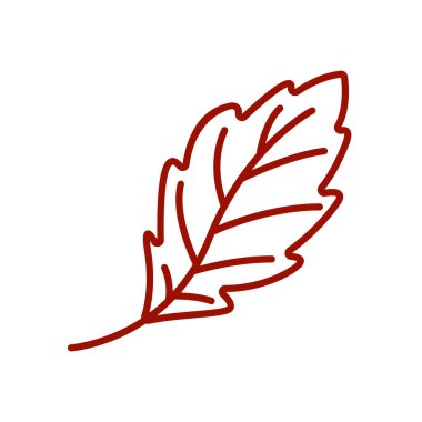 Meşe yaprağı Sonbahar ikon vektör tasarım şablonu