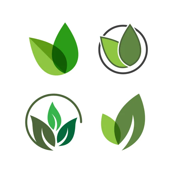 生态树叶子标志模板 免版税图库矢量图片