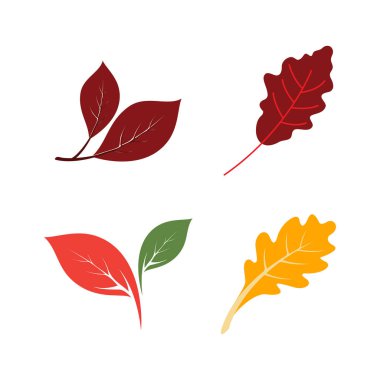 Meşe Yaprağı Logosu vektör çizimi