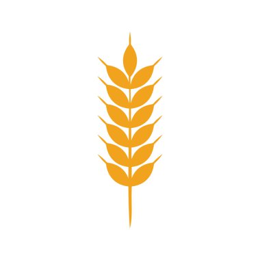Tarım buğday logosu vektör ikonu tasarımı