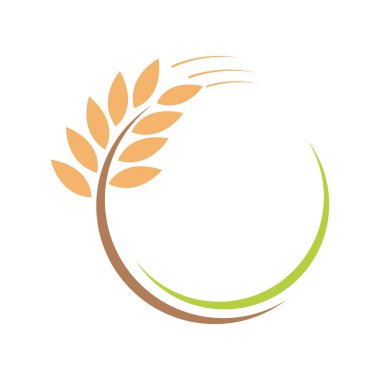 Tarım buğday logosu vektör ikonu tasarımı