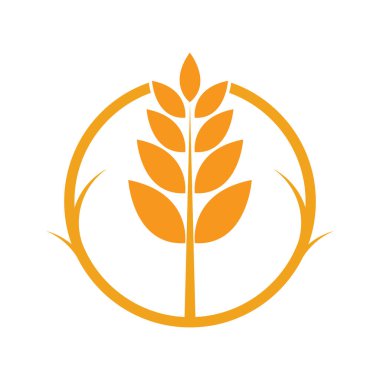 Tarım buğday logosu vektör ikonu tasarımı