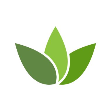 Eko Ağacı Yaprak Logosu Şablon Çizimi