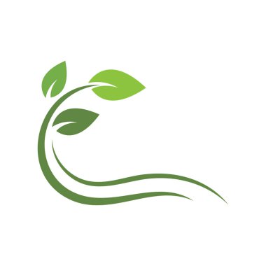 Eko Ağacı Yaprak Logosu Şablon Çizimi