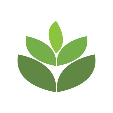 Eko Ağacı Yaprak Logosu Şablon Çizimi