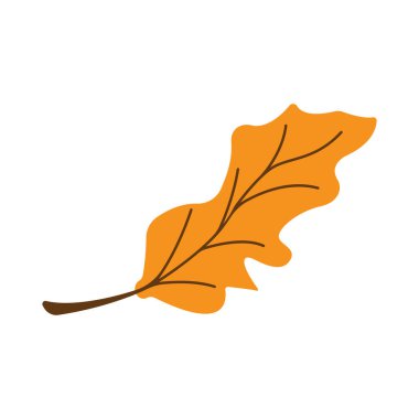 Sonbahar meşe yaprağı logosu ve meşe ağacı logosu. Düzenleme vektör illüstrasyonuyla.