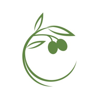 Zeytin logosu şablon resimleme tasarımı