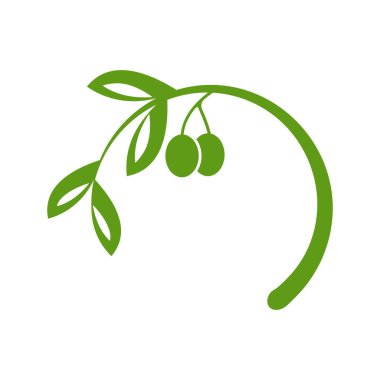 Zeytin logosu şablon resimleme tasarımı