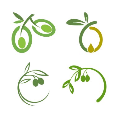 Zeytin logosu şablon resimleme tasarımı