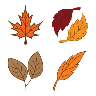 Sonbahar Akçaağaç sembolü resimleme tasarımı