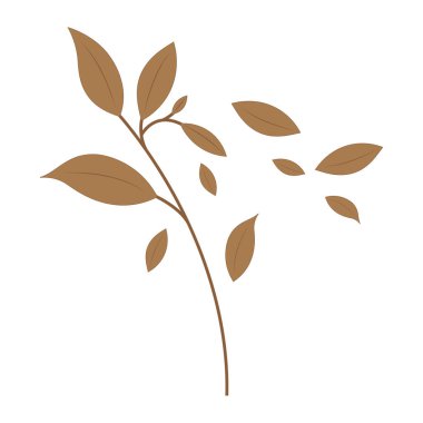 Sonbahar yaprağı logo şablonu resimleme simgesi tasarımı