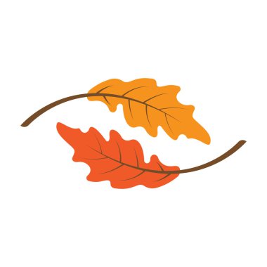 Sonbahar yaprağı logo şablonu resimleme simgesi tasarımı