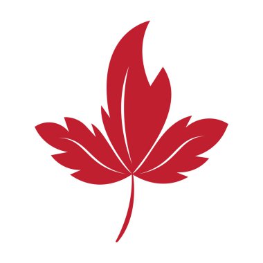 Sonbahar yaprağı logo şablonu resimleme simgesi tasarımı