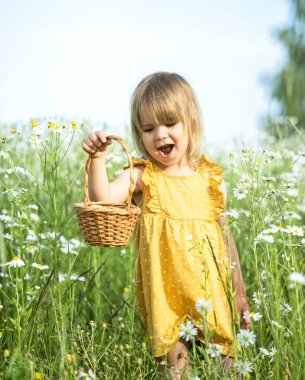 Tarla papatyalarının arasında elinde sepeti olan neşeli küçük bir kız.