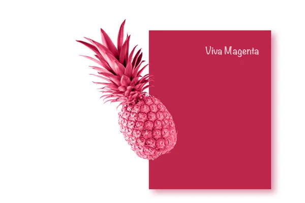 Fresh juicy tropical fruit pineapple and viva magenta color frame isolated on white background. Single whole pineapple flying. Creative card in trendy color 2023 Viva Magenta.
