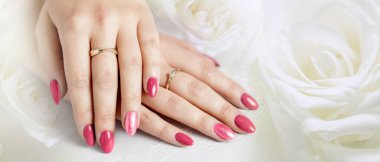 Beautiful female hands with fresh Viva Magenta trendy color manicure lying on a white rose flowers backdrop. Wedding or spa or celebration soft background with copy space.
